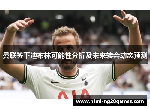 曼联签下迪布林可能性分析及未来转会动态预测