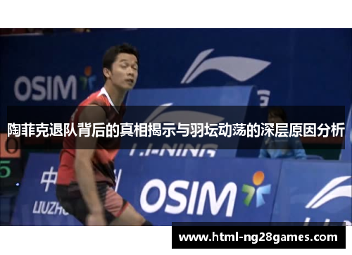 陶菲克退队背后的真相揭示与羽坛动荡的深层原因分析