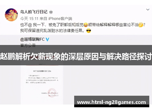 赵鹏解析欠薪现象的深层原因与解决路径探讨 赵鹏解析欠薪现象的深层原因与解决路径探讨